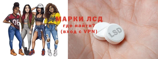 сатива Бородино
