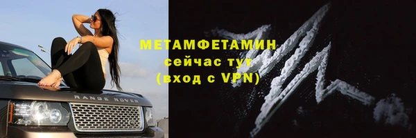 сатива Бородино