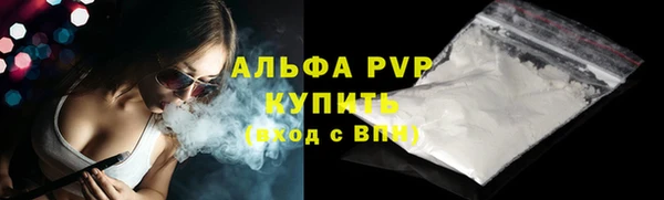 сатива Бородино