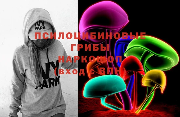 герыч Бронницы