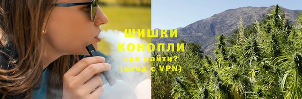 сатива Бородино