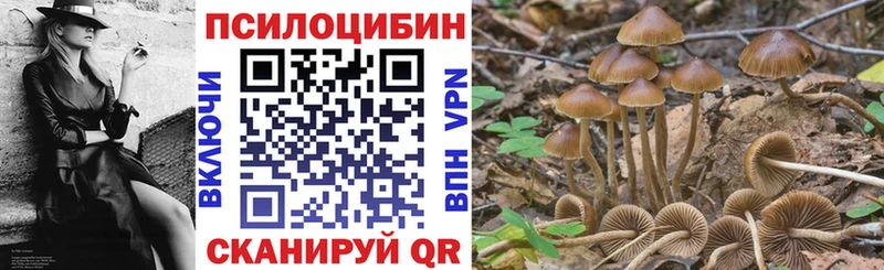 Галлюциногенные грибы мухоморы  магазин продажи наркотиков  ссылка на мегу сайт  Новосокольники 